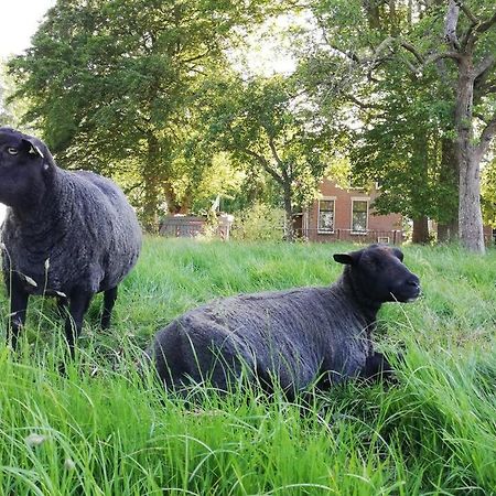 'T Pekelhuis - Vakantiehuisje Op Boerderij Huize Blokland Hem 외부 사진